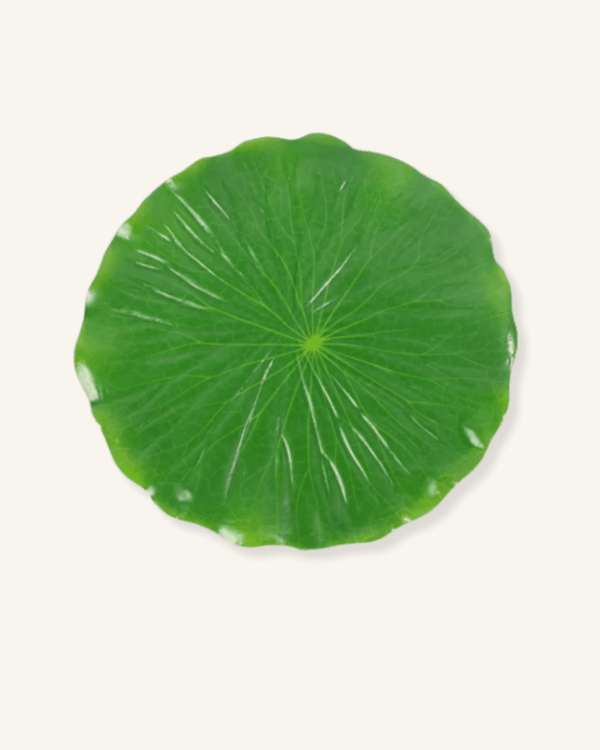 Set de Table Feuille Tropicale Vert