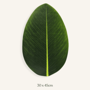 set de table feuille verte