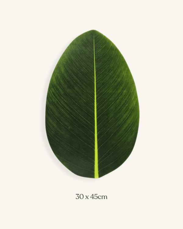 set de table feuille verte